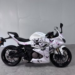 QJMOTOR SRK 250 - фото 1