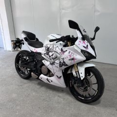 QJMOTOR SRK 250 - фото 2