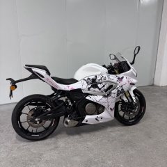 QJMOTOR SRK 250 - фото 3
