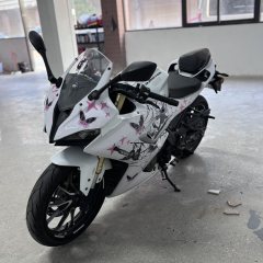 QJMOTOR SRK 250 - фото 4