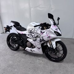 QJMOTOR SRK 250 - фото 5