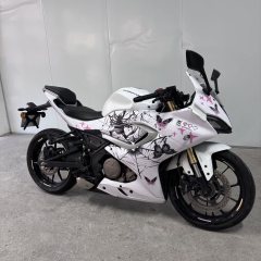 QJMOTOR SRK 250 - фото 7