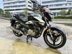 Haojue Suzuki Chichi GW250 - фото 1