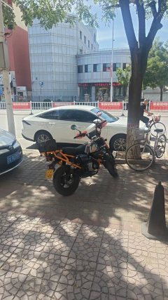 Manken 150 cc - фото 4