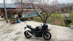 Haojue Suzuki GSX250R - фото 1