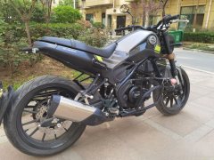 Benelli Leoncino 250 - фото 4