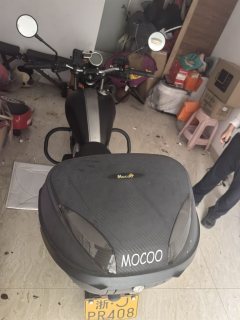 QJMOTOR Yishi 250 - фото 2