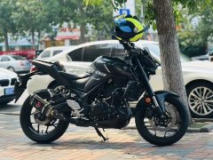 Yamaha MT-03 320 cc - фото 1