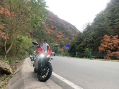 QJMOTOR SRK 250 - фото 1