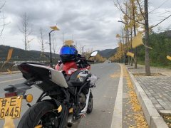 QJMOTOR SRK 250 - фото 4