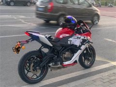 QJMOTOR SRK 250 - фото 5