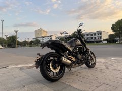 Benelli Lion Cub Leoncino 500 - фото 2