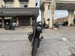Benelli Lion Cub Leoncino 500 - фото 4