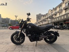 Benelli Lion Cub Leoncino 500 - фото 6