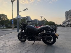 Benelli Lion Cub Leoncino 500 - фото 7