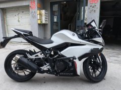 Kayo 250RR Thornbird - фото 1