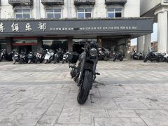 Benelli Lion Cub Leoncino 500 - фото 4
