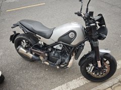 Benelli Lion Cub Leoncino 500 - фото 2