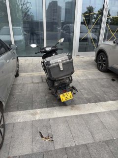 QJMOTOR Hong 125 - фото 5