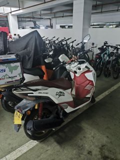 QJMotor Lightning Dog 150 - фото 1