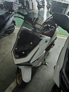 QJMotor Lightning Dog 150 - фото 2