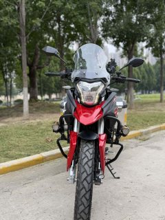 Cyclone RX3 250 cc - фото 3