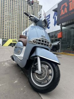 Weiduoliya Sixties 300i - фото 2