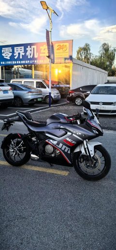 QJMOTOR SRK 250 - фото 2
