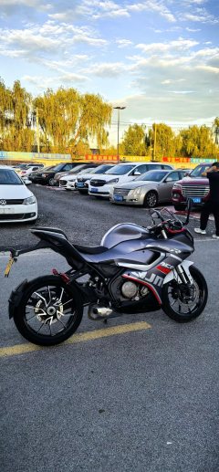 QJMOTOR SRK 250 - фото 3