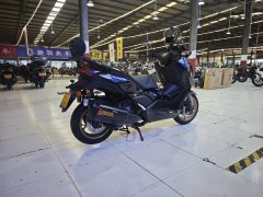 Yamaha XMAX 300 cc - фото 6