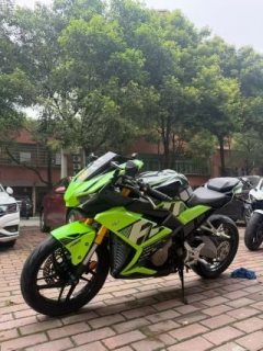 Fkm FK 3GP 250 cc - фото 2