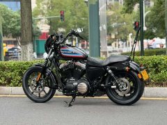 Harley-Davidson lron 1200 - фото 6