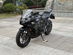 Haojue Suzuki GSX250R - фото 5