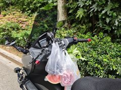 Cyclone Ruitu RT3 250 cc - фото 4