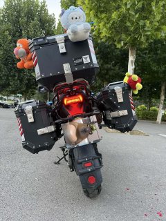 Voge DS525 500 cc - фото 5