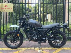 Honda CL300 - фото 6
