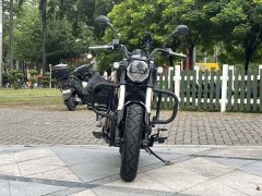 QJMOTOR Flash 300 - фото 2