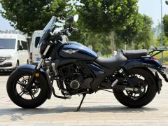 Haojue TR300 - фото 6