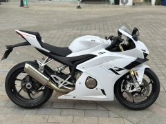 Zhangxue Motorcycles 500RR - фото 4