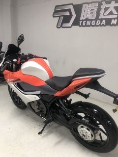 QJMOTOR SRK 250 - фото 3