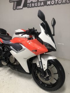 QJMOTOR SRK 250 - фото 7