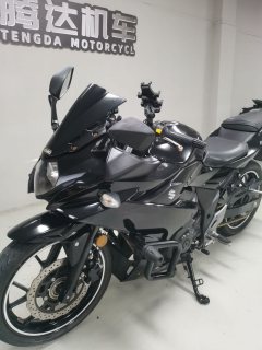 Haojue Suzuki GSX250R - фото 3