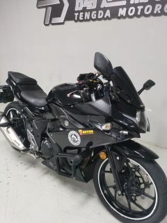 Haojue Suzuki GSX250R - фото 7