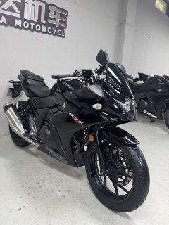 Haojue Suzuki GSX250R - фото 6