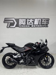 Kayo 250RR Thornbird - фото 7