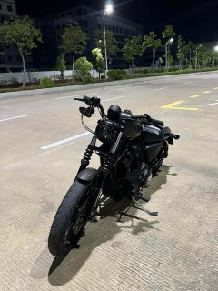 Harley-Davidson Iron883 Tough Guy - фото 12