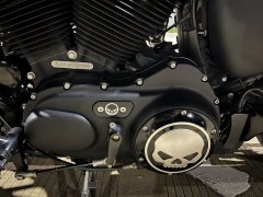 Harley-Davidson Iron883 Tough Guy - фото 3