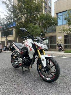 Sundiro Honda CBF190R - фото 5