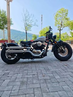 Zeths V250 Edition - фото 4