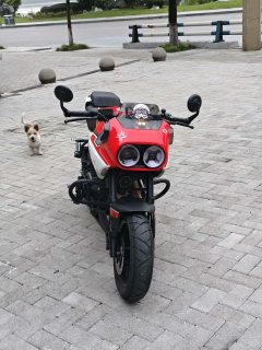 CFMOTO Papio XO-1 125 cc - фото 1